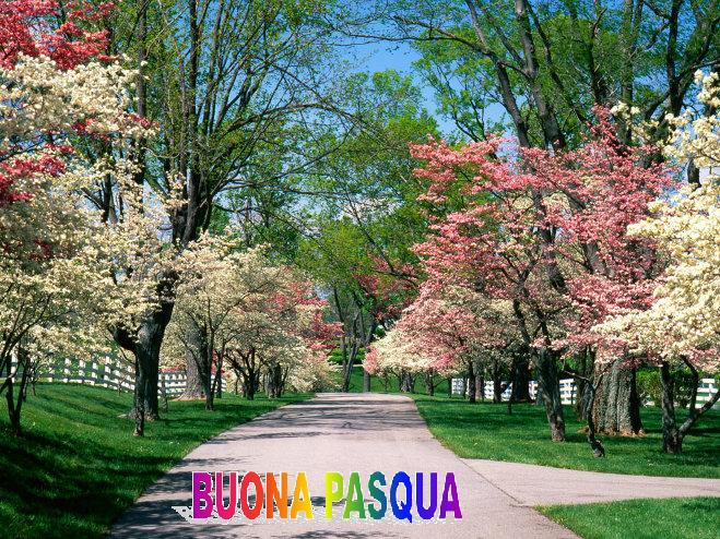 Pasqua 2011 7 BuonaPasqua