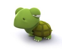 La tartaruga Dedda
