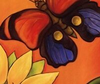 farfalla-coccinella