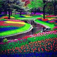 Il piccolo ruscello tra i fiori