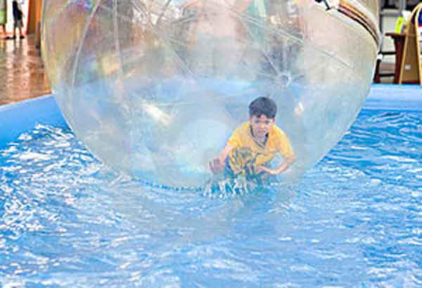 la bolla della diversita