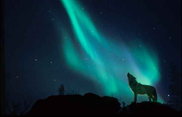 Il richiamo dell'aurora boreale 5 richiamo aurora boreale