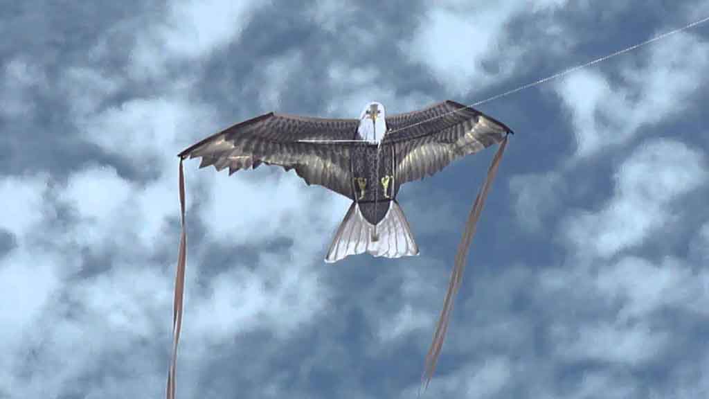 ala venditore aquiloni