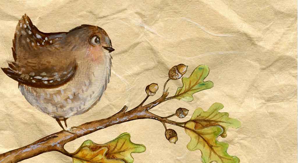 Pata e l'acqua asciutta 6 pata acqua asciutta