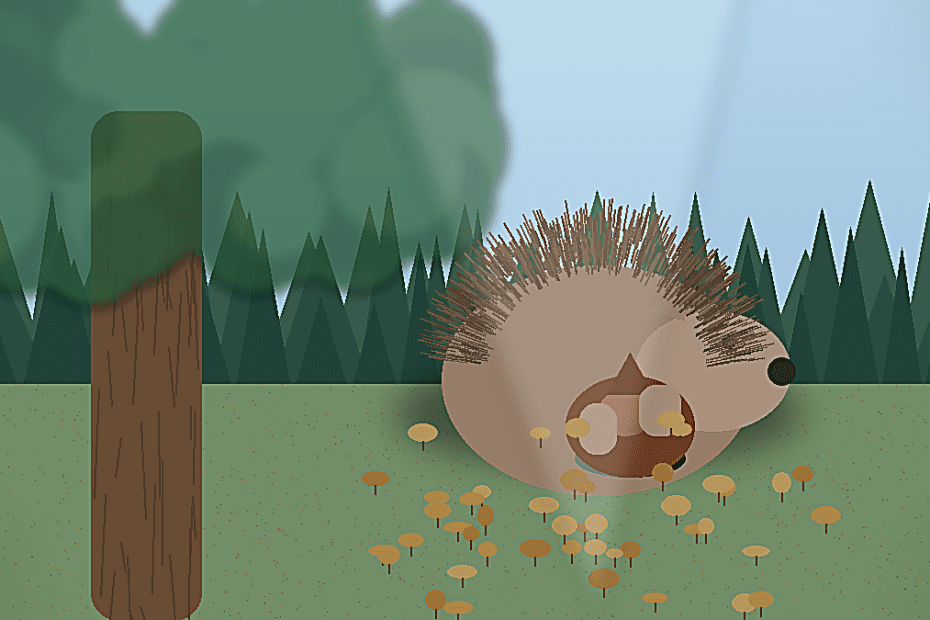 Incontro d'amore 1 incontro amore